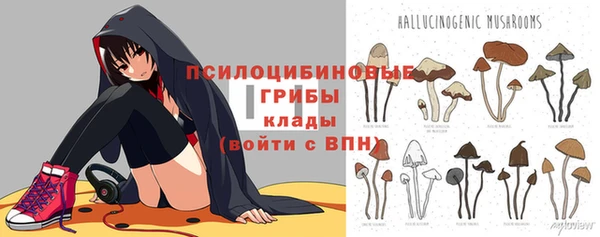 a pvp Рославль