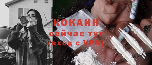 mix Бородино