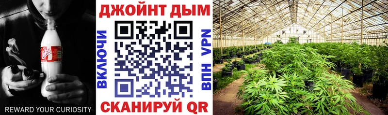 Бошки марихуана планчик  даркнет состав  kraken ТОР  Кемерово  наркошоп 